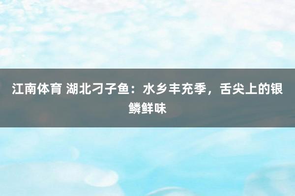 江南体育 湖北刁子鱼：水乡丰充季，舌尖上的银鳞鲜味